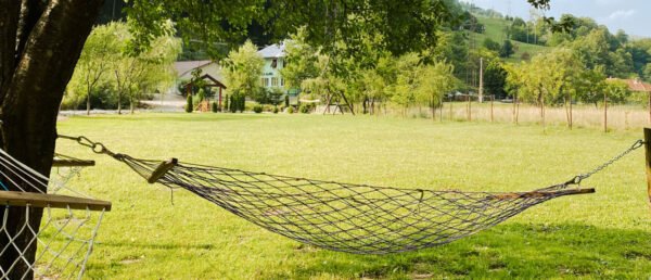 Pensiunea Alunul Valea Iadului Remeti Bihor