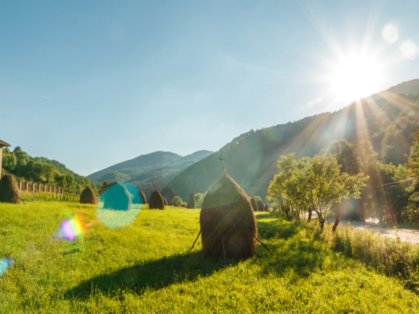Pensiunea Alunul Valea Iadului Remeti Bihor