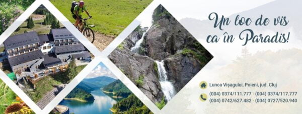 Pensiunea Art 1000 Lunca Visagului