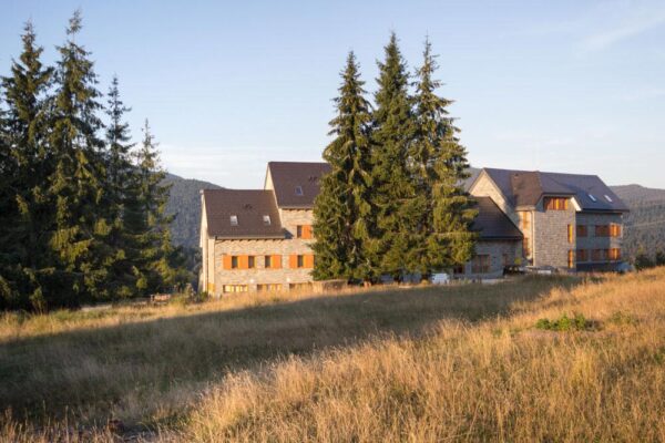 Pensiunea Art 1000 Lunca Visagului