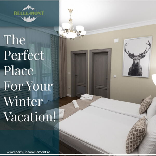 Pensiunea Belle-Mont Valea Iadului