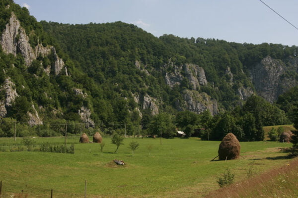 Pensiunea Carpathia din zona Remeti