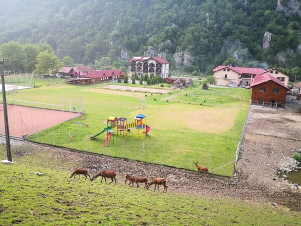 Pensiunea Carpathia din zona Remeti