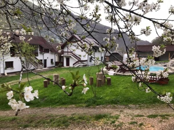 Pensiunea Casa Gornicului Remeti