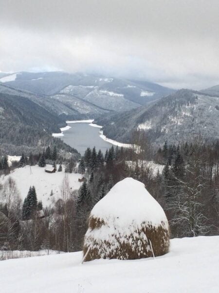Pensiunea Casa Maria Valea Iadului Draganului