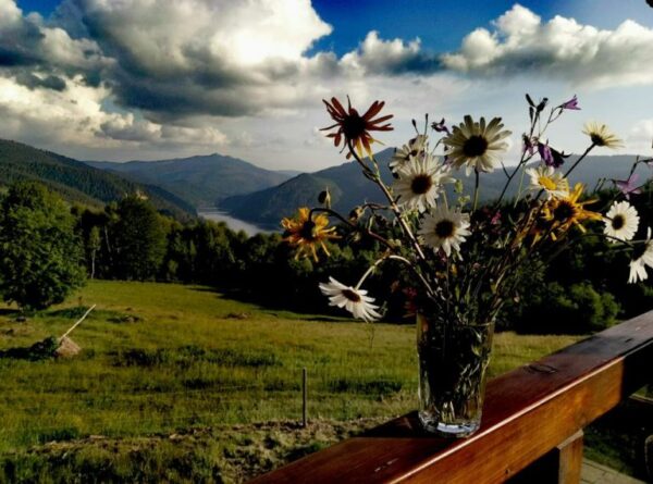 Pensiunea Casa Maria Valea Iadului Draganului