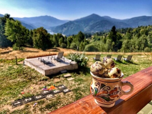 Pensiunea Casa Maria Valea Iadului Draganului